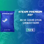 Steam Premium Key