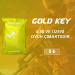 Steam Gold Key