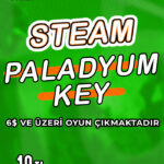 Paladyum Key