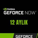 GeForce Now Game Plus Performance 12 Aylık