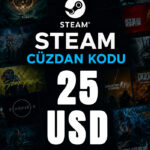 Steam Cüzdan Kodu 25 USD