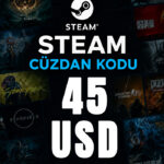 Steam Cüzdan Kodu 45 USD